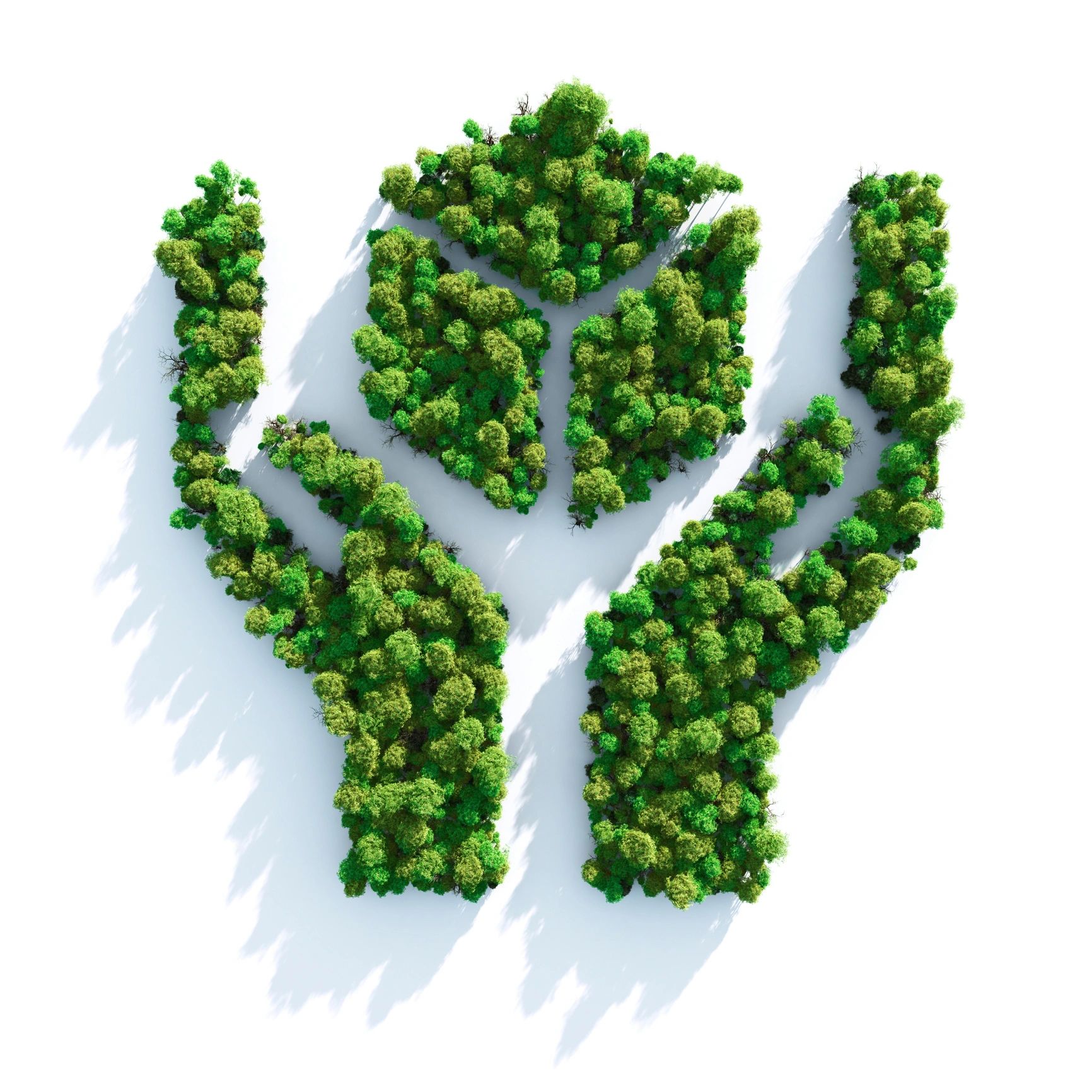 Environmental fieldwork supporting sustainable project outcomes